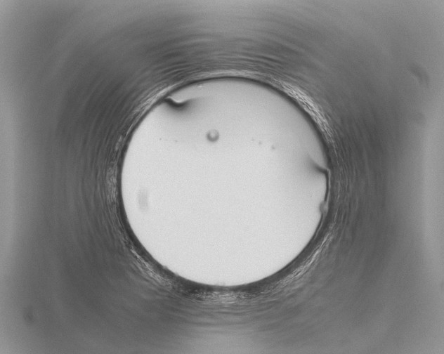 X0000115621177200912081017