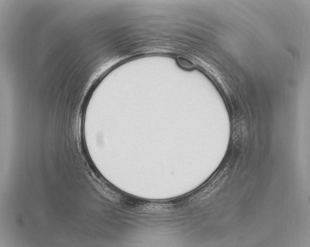 X0000115621179200912081017