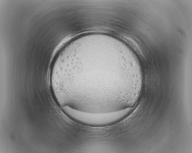 X0000115621180200912081017