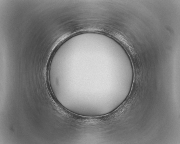 X0000115621181200912081017