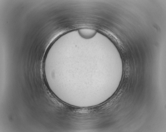 X0000115621182200912081017