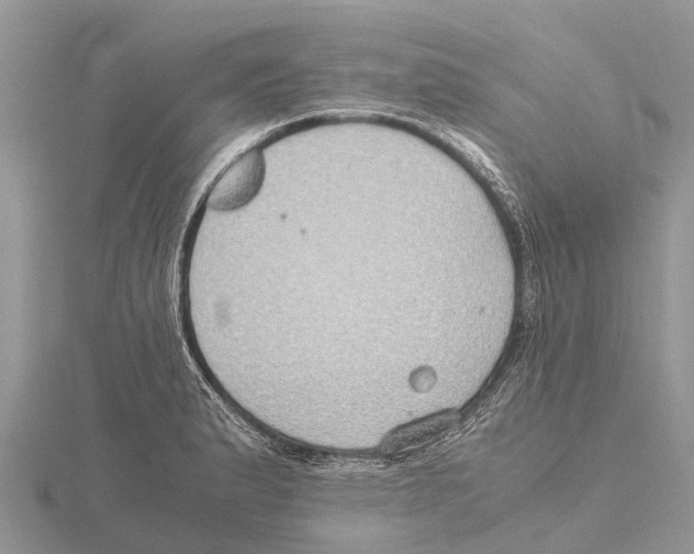 X0000115621183200912081017