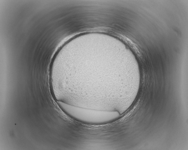 X0000115621184200912081017