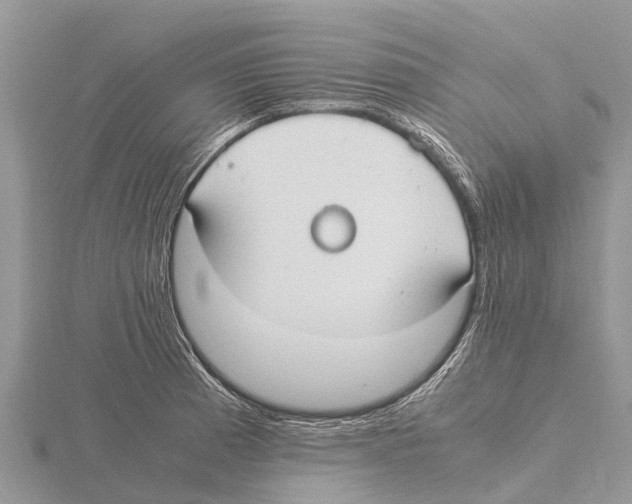 X0000115621185200912081017