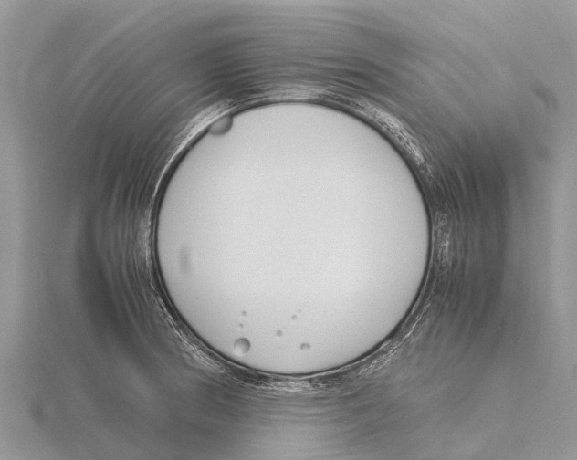 X0000115621186200912081017