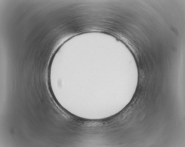 X0000115621187200912081017