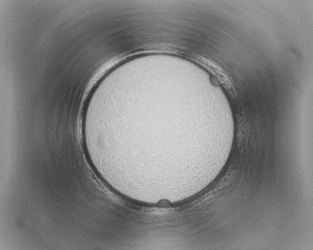 X0000115621188200912081017