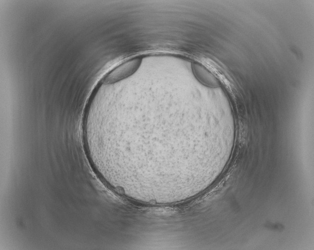 X0000115621189200912081017