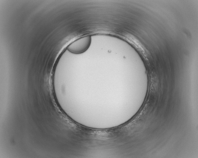 X0000115621190200912081017