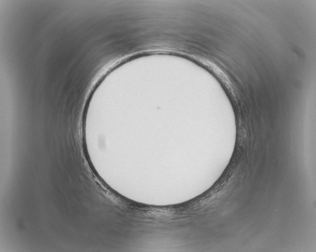 X0000115621191200912081017