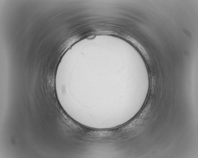 X0000115621193200912081017