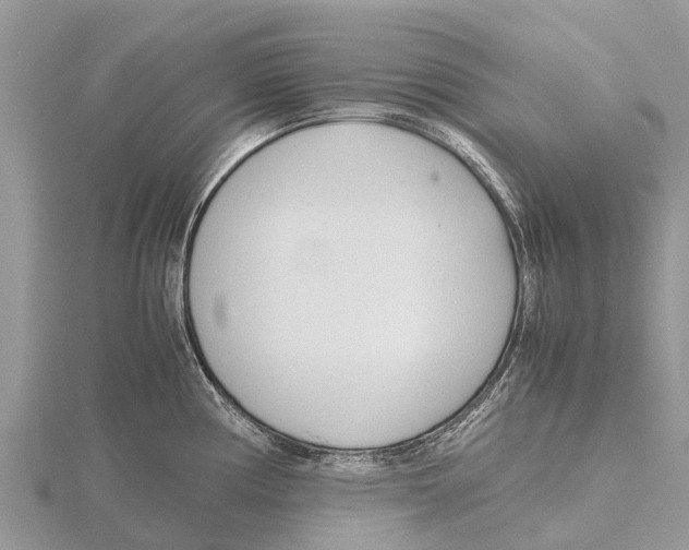 X0000115621194200912081017