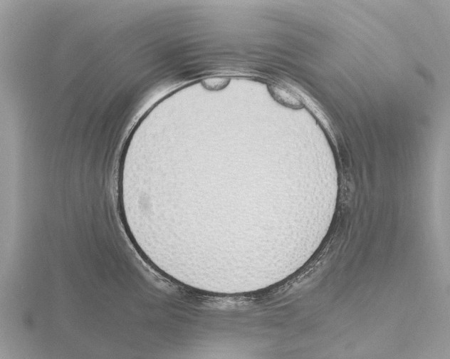 X0000115621195200912081017