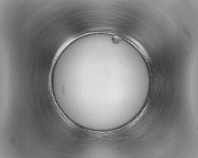 X0000115621196200912081017