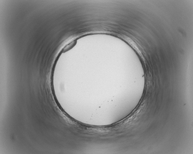 X0000115621197200912081017