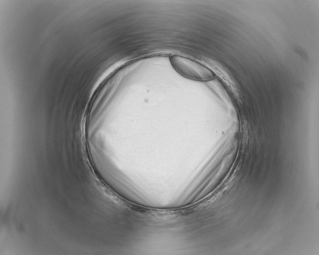 X0000115621198200912081017