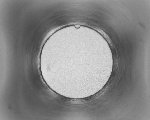 X0000115621199200912081017