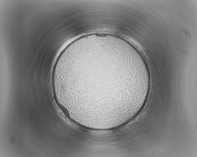 X0000115621200200912081017