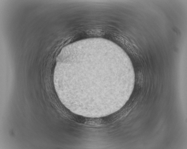 X0000115621201200912081016