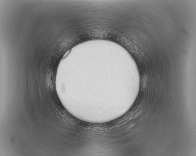 X0000115621202200912081016