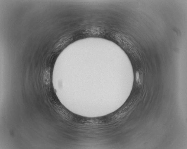 X0000115621203200912081016