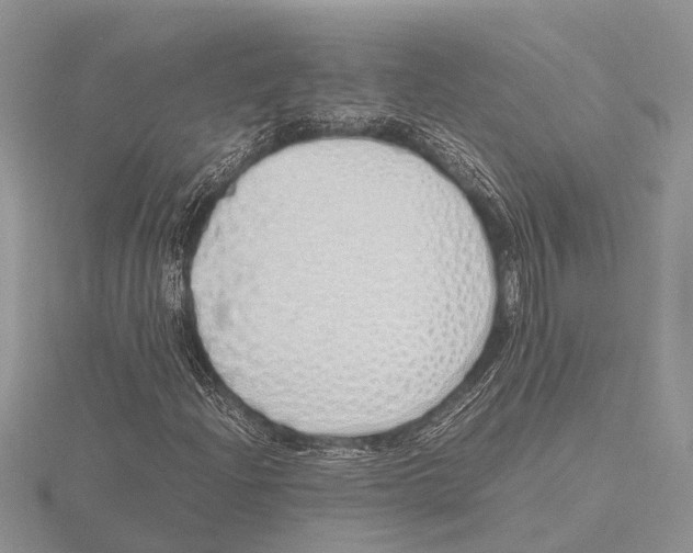 X0000115621204200912081016