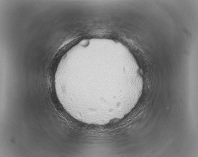 X0000115621206200912081016