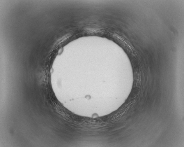 X0000115621207200912081016