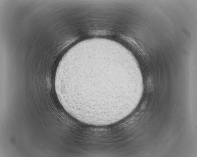 X0000115621209200912081016