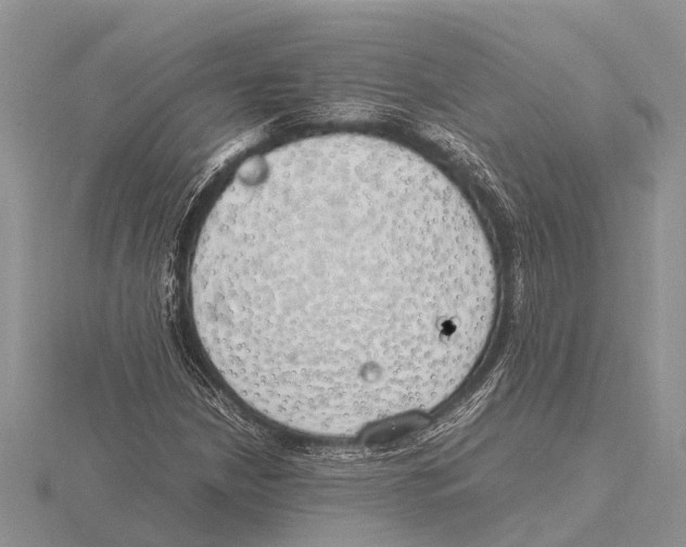 X0000115621210200912081016