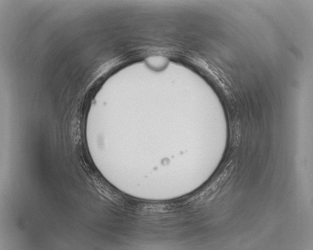 X0000115621211200912081016