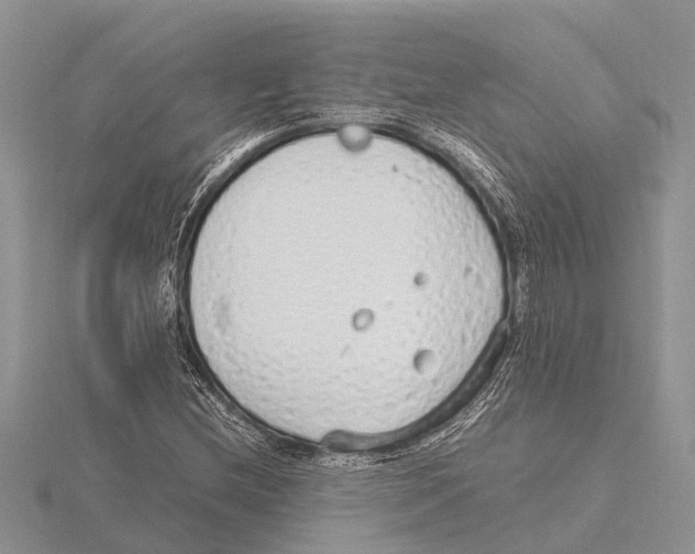 X0000115621212200912081016