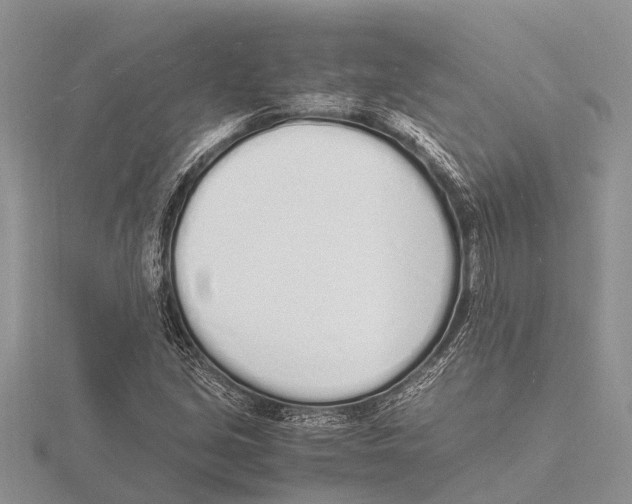 X0000115621213200912081016