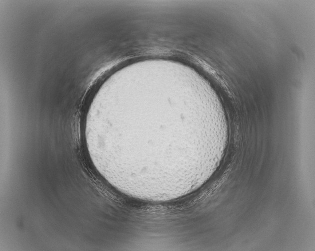 X0000115621214200912081016