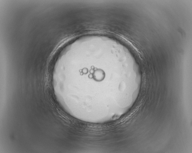 X0000115621215200912081016