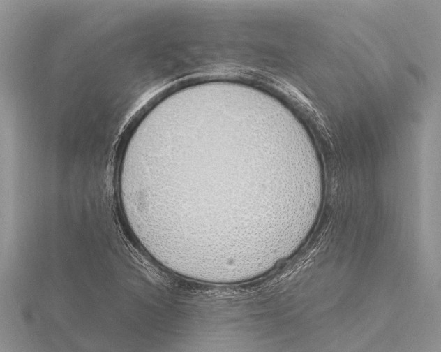 X0000115621216200912081016