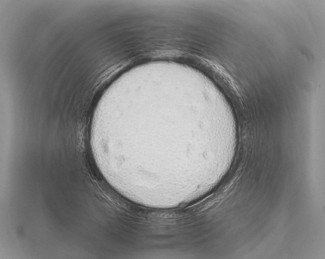 X0000115621217200912081016