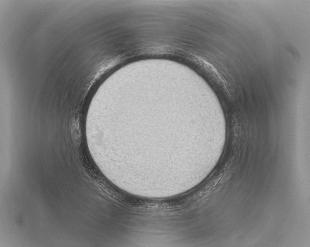 X0000115621218200912081016