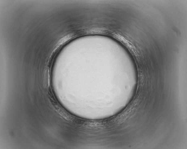 X0000115621219200912081016