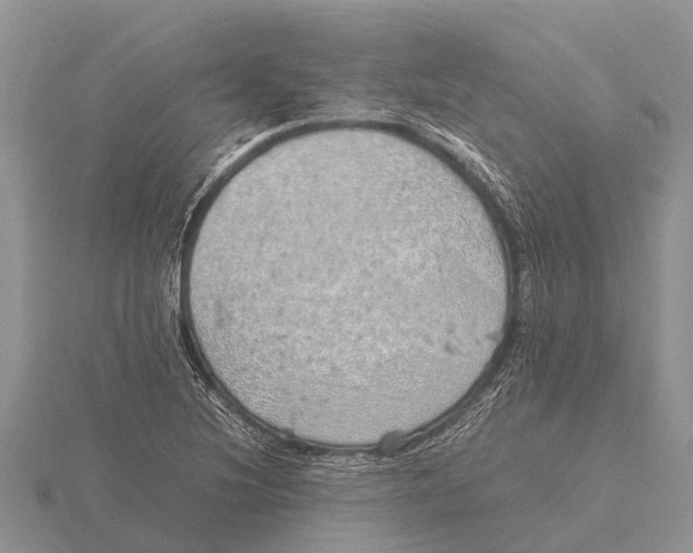 X0000115621220200912081016