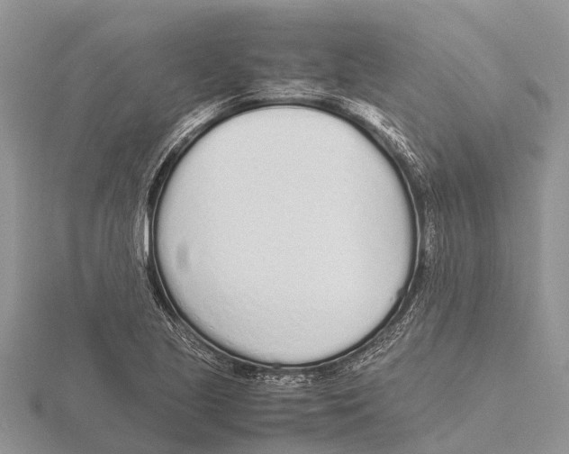 X0000115621221200912081016