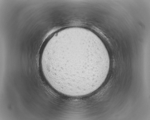 X0000115621222200912081016