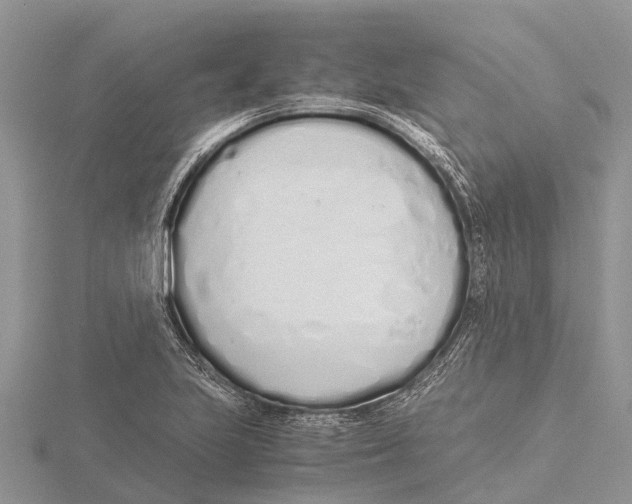 X0000115621223200912081016