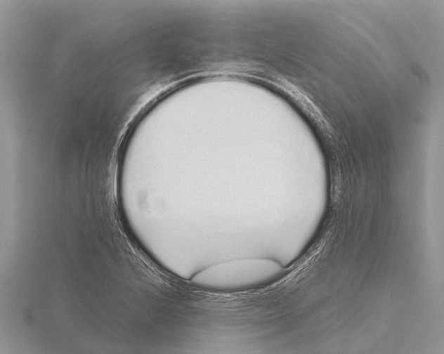 X0000115621224200912081016