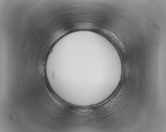 X0000115621225200912081016