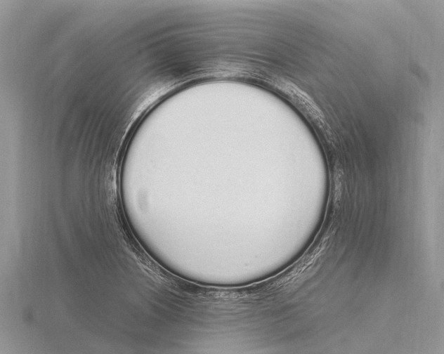 X0000115621226200912081016