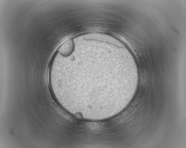 X0000115621227200912081016