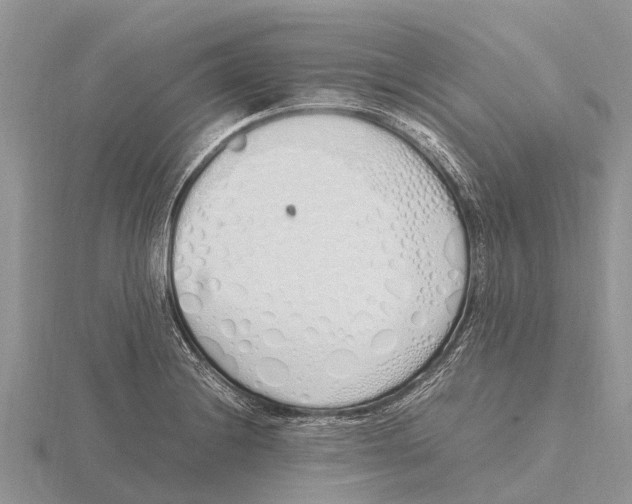 X0000115621228200912081016