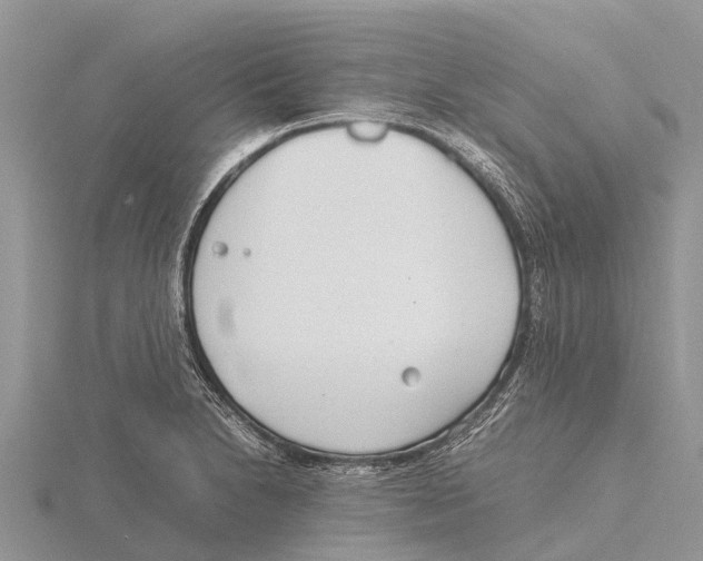 X0000115621230200912081016