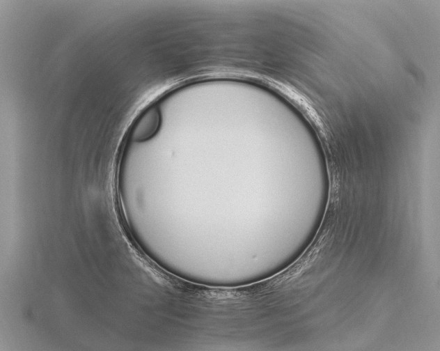 X0000115621231200912081016